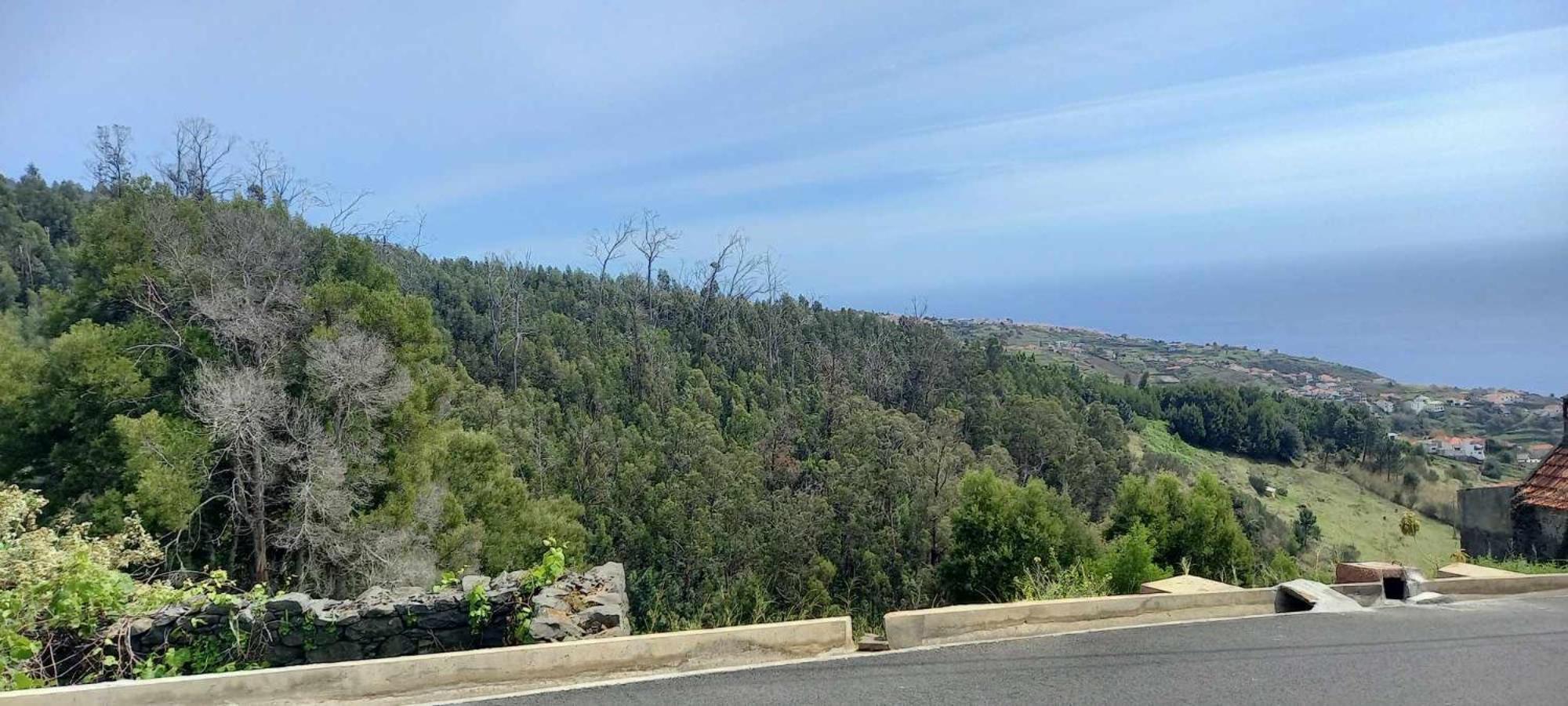 Casa Monte De Paz Calheta  Exteriör bild